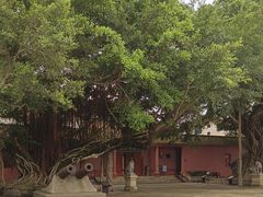 -闽粤南澳总镇府