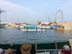 -秦皇岛乐岛海洋王国