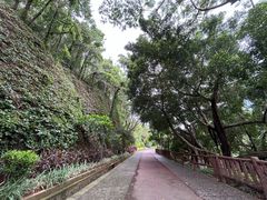 -狐尾山公园
