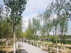 -西青郊野公园