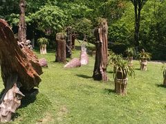 -南山植物园