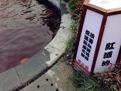 -杭州第一世界大酒店·云曼温泉