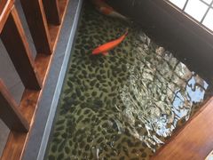 -尺山寸水日料(马桥满天星店)
