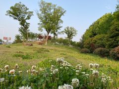 -苏州太湖国家湿地公园