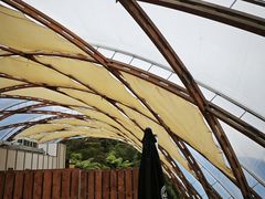 -怀托摩萤火虫洞