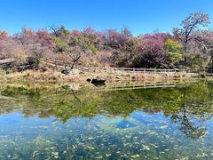 -周口店坡峰岭风景区