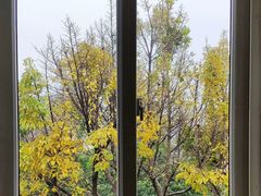 -星海音乐学院(沙河校区)