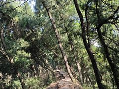 -金堂县云顶石城风景区