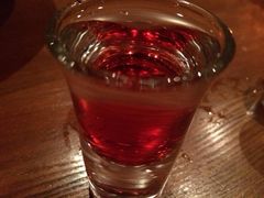 come&nbsp;back&nbsp;tomorrow-Shanghai Brew House上海啤酒工坊(老外街店)