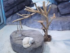 -海合安青岛极地海洋公园