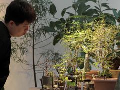 -自由生长植物工作室(深港花卉中心店)