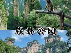 -张家界天门山国家森林公园