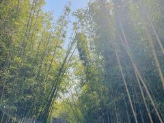 -石湖景区