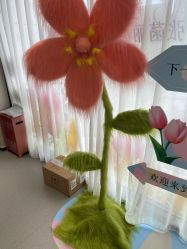 -联合丽格·张菡丽格医疗美容