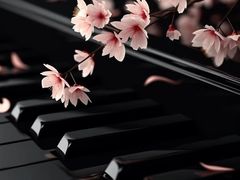 -雅马哈卡瓦依·钢琴电钢琴·姜杰城音乐舞蹈培训学校(航天桥总部)