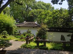 -上海醉白池公园