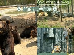 -五龙山野生动物王国
