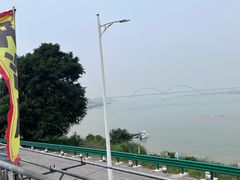 -八仔大富楼·河鲜(西江店)