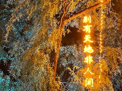 -万泉公园