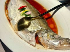 -醉庐·新上海菜(南京西路店)