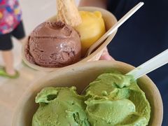 -极拉图·现制冰淇淋(梅溪湖新天地步步高店)