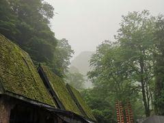-碧峰峡风景区