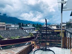 -喵屿·大理花园猫咖