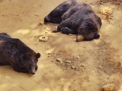 -昆明动物园