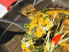 -雀舞云南菜(天津天河城购物中心店)