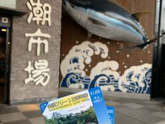 -黑潮市场