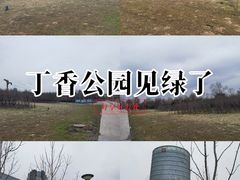 -群力丁香公园