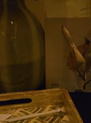 -尊尚柏丽美容SPA