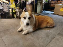 -771餐吧·咖啡·西餐·烤肉(金湖广场店)