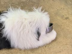 -TrueLove @ Neverland (Husky Cafe)