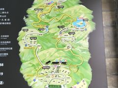 -云南野生动物园