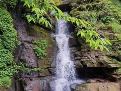 -碧峰峡风景区