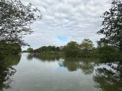 -苏州太湖国家湿地公园