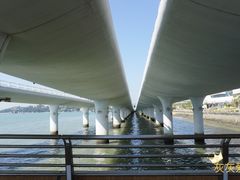 -演武大桥观景平台