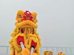 -中澳友谊花园