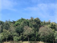 -广州市白云山风景名胜区