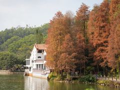 -深圳仙湖植物园