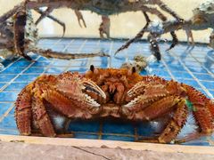 -壹品盛宴(企石店)