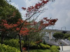 -漕溪路(地铁站)