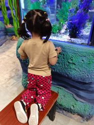 -酷嗒动物文化乐园(cutezoo西溪乐天城店)