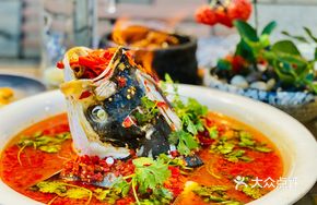 Eight-Year Bestseller Firework Fish Head