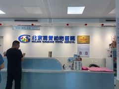 -北京观赏动物医院·24小时大型综合·猫专科·异宠专科