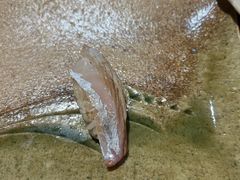 -镹·鱼料理  国产鱼使用店