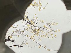 -个园