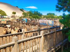 -玉龙沙湖景区