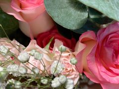 -循礼门鲜花花市(武汉循礼门店)